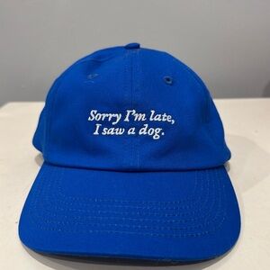 NWT. Graphic baseball cap.